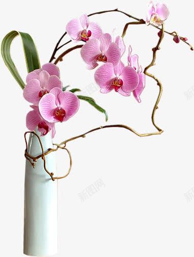 粉红色花朵白色花瓶png免抠素材_新图网 https://ixintu.com 白色 粉红色 花朵 花瓶