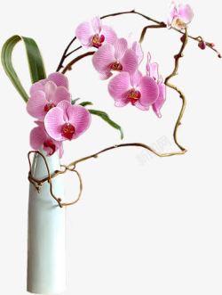 高品质粉红花瓶粉红色花朵白色花瓶高清图片
