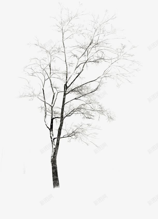 冬季凋零树木景观png免抠素材_新图网 https://ixintu.com 冬季 凋零 景观 树木