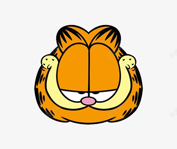 橙色的加菲猫png免抠素材_新图网 https://ixintu.com 加菲猫 橙色 猫素材