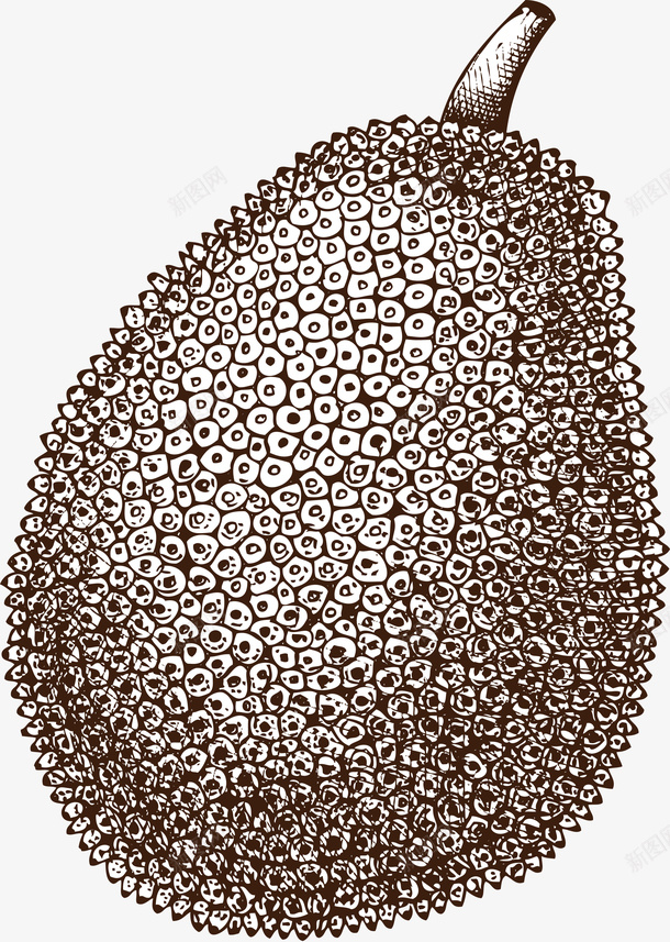 菠萝蜜水果素描画png免抠素材_新图网 https://ixintu.com 水果 素描画 绘画图 美味的 菠萝蜜 黑白水果 黑白色