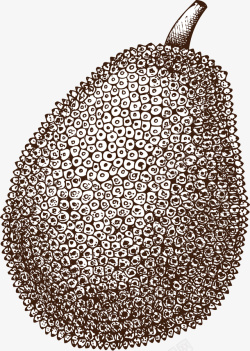 黑白色图菠萝蜜水果素描画高清图片