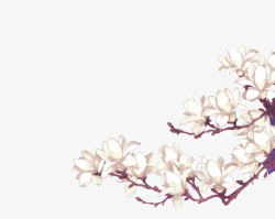 树梢上的黄鹂设计树梢上的梅花高清图片