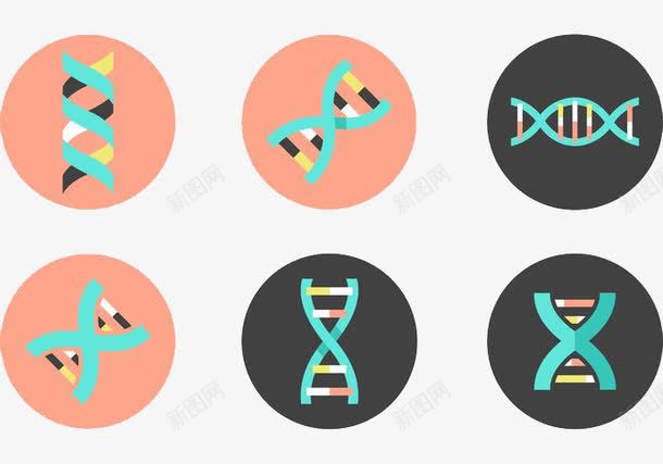 DNA双螺旋标图标psd_新图网 https://ixintu.com DNA 双螺旋 生物 矢量图标 遗传分子