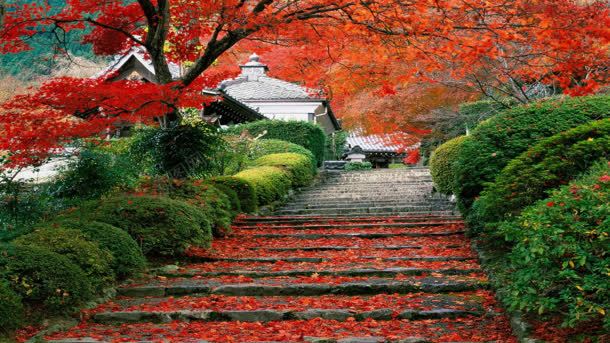 日本京都花园风景jpg设计背景_新图网 https://ixintu.com 京都 日本 花园 风景
