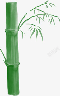 翠绿的竹子翠绿竹竿高清图片
