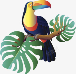 热带树枝装饰插图鹦鹉与树枝叶高清图片