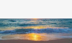 美丽的海星美丽的海滩景色高清图片