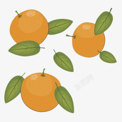 手绘桔子卡通三个香橙和叶子高清图片