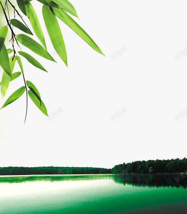 绿色风景画png免抠素材_新图网 https://ixintu.com 叶子 树林 水墨画 水面 竹叶 绿色