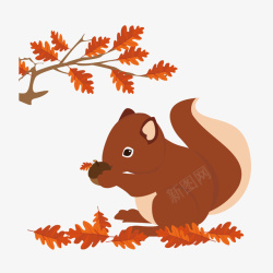 棕色坚果一只松鼠在捡橡子矢量图高清图片
