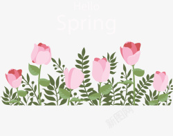 春天雏菊花丛粉红玫瑰你好春天高清图片