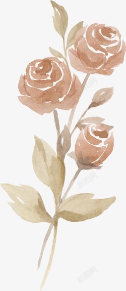 水墨棕色玫瑰花朵素材