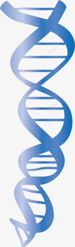 DNA结构素材