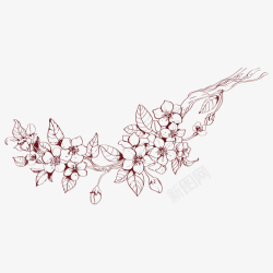 花蕾桃花瓣手绘桃花枝线稿图高清图片