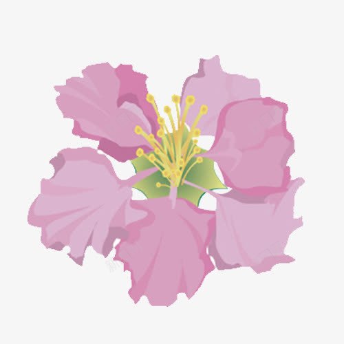粉红色的花png免抠素材_新图网 https://ixintu.com 粉色的花 紫薇 紫薇花 花朵 花蕊 鲜花