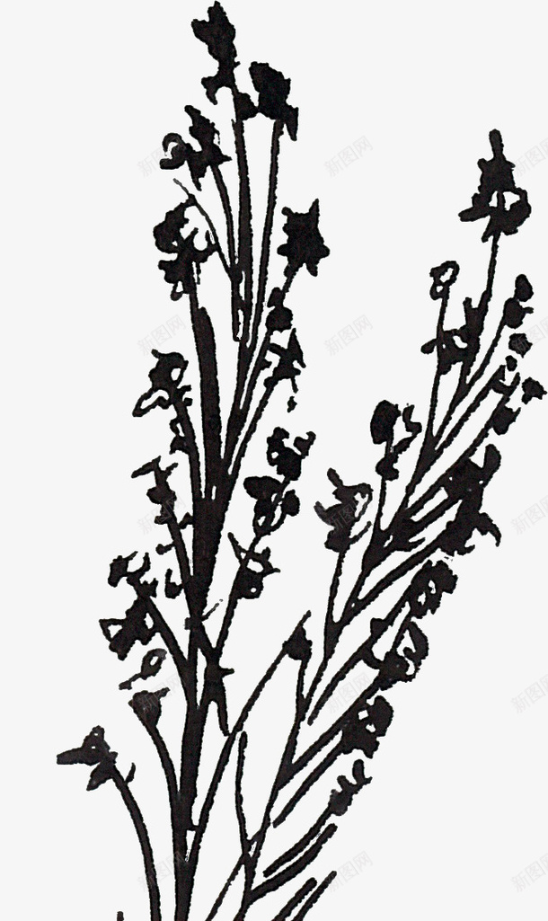 线描树梢png免抠素材_新图网 https://ixintu.com 线描植物 线条 花卉 黑色