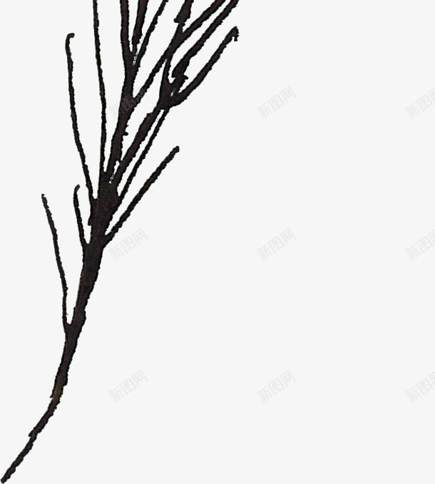 线描树梢png免抠素材_新图网 https://ixintu.com 线描植物 线条 花卉 黑色
