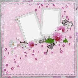 柔情粉红花朵背景高清图片