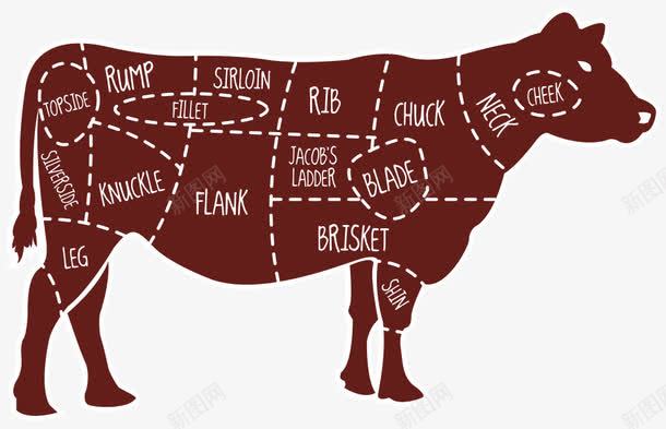 牛肉分割png免抠素材_新图网 https://ixintu.com 分割比例 牛 牛肉 肉牛