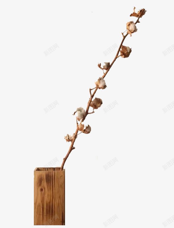 一枝干花png免抠素材_新图网 https://ixintu.com 免扣 干花 干花树枝 装饰