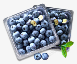 蓝莓粒好产品莓美哒果粒蓝莓果高清图片