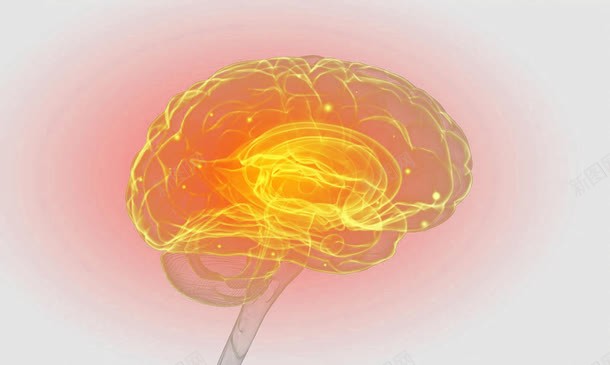 大脑神经系统示意图png免抠素材_新图网 https://ixintu.com 中枢神经系统 人体组织 神经 神经元 神经系统 神经结构 脑神经