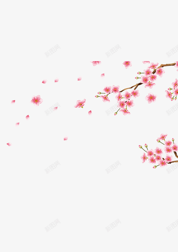 粉粉的桃花psd免抠素材_新图网 https://ixintu.com 桃花 植物 粉红色 花朵