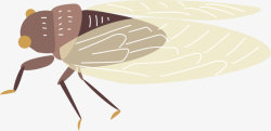 昆虫插画爬行卡通透明蝉高清图片