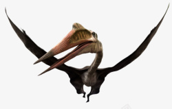 游戏动物素材飞翔着的风神翼龙属实物高清图片