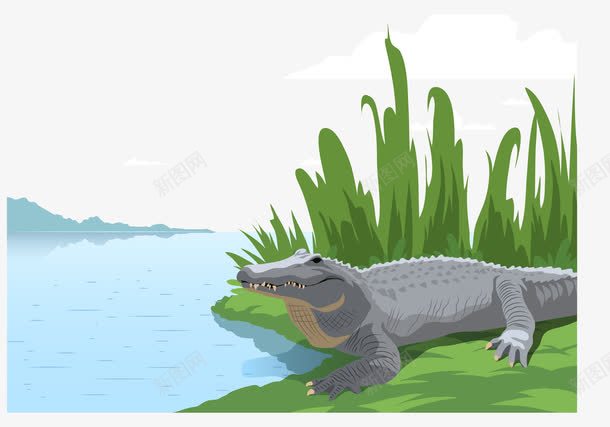 一只小鳄鱼png免抠素材_新图网 https://ixintu.com 一条小溪 凶猛的鳄鱼 岸边 沼泽边 鳄鱼