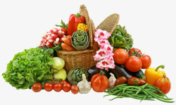 每日必需蔬菜与水果高清图片