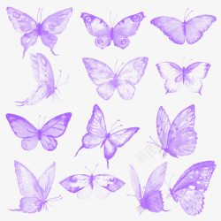 蝴蝶矢量图片ps素材飞舞的蝴蝶PS笔刷高清图片