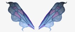 漂亮的星纹蝴蝶翅膀素材