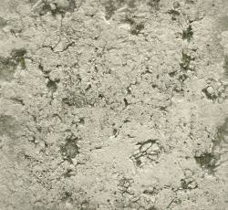 水泥抹灰粗糙的水泥墙面高清图片