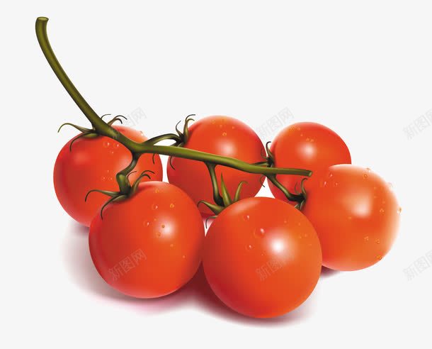 手绘小番茄png免抠素材_新图网 https://ixintu.com 圣女果 手绘 水果 番茄 红色 蔬菜
