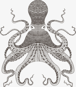 章鱼须简约黑白手绘章鱼矢量图高清图片