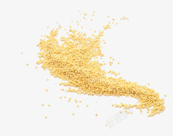 散开的大黄米散开的大黄米高清图片