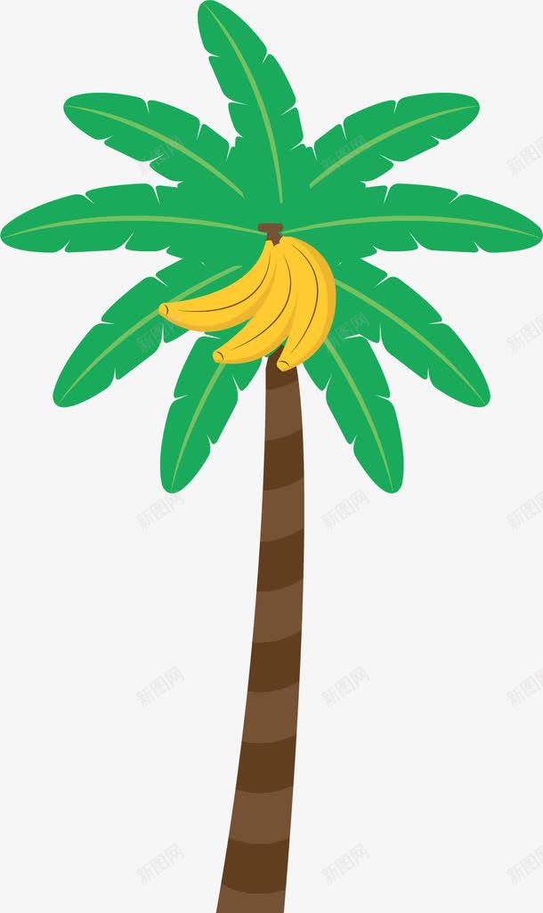 香蕉的树png免抠素材_新图网 https://ixintu.com 水果 水果种类 苹果 香蕉 香蕉树 香蕉苹果