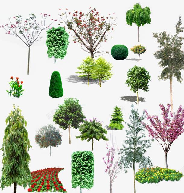 绿色植物png免抠素材_新图网 https://ixintu.com png png元素 景观植物 树木 苗木 街边植物