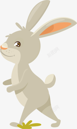 呆萌的垂耳兔可爱的小兔子高清图片