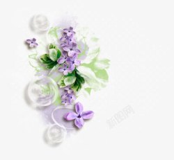 清新茉莉花紫色鸳鸯茉莉花装饰小清新气泡高清图片