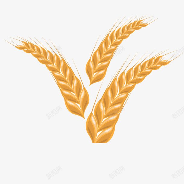 田园的世界png免抠素材_新图网 https://ixintu.com 小麦 小麦田 粮食 面粉 麦芽