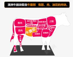 牛肉部位分割牛肉分部图高清图片