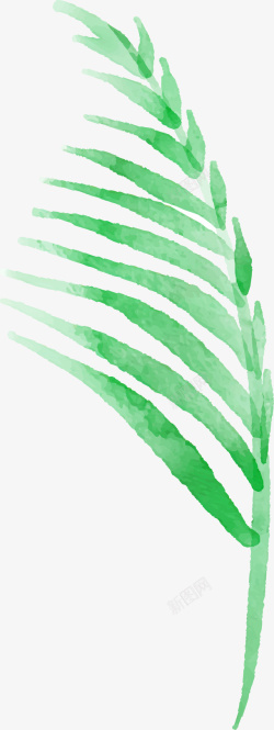 水墨棕榈叶叶子图素材