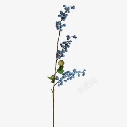 枝子蓝莓仿真植物高清图片