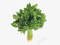 白盘子里的蔬菜蔬菜苋菜食用养生高清图片