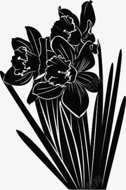 黑色水仙花手绘剪影图标图标