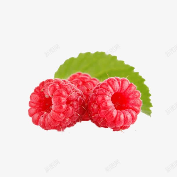 新鲜诱人树莓png免抠素材_新图网 https://ixintu.com 树莓 水果 红色 覆盆子