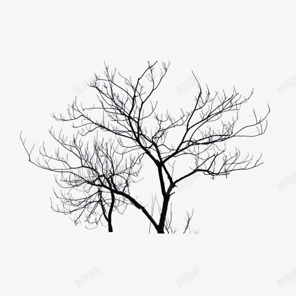 枯树png免抠素材_新图网 https://ixintu.com 手绘剪影 手绘枯树枝 手绘立面干枯树 树 矢量枯树 黑色线条